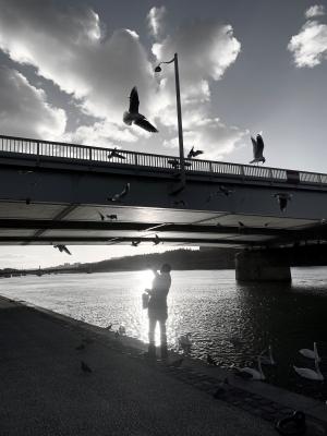 Homme sur les quais du Rhône